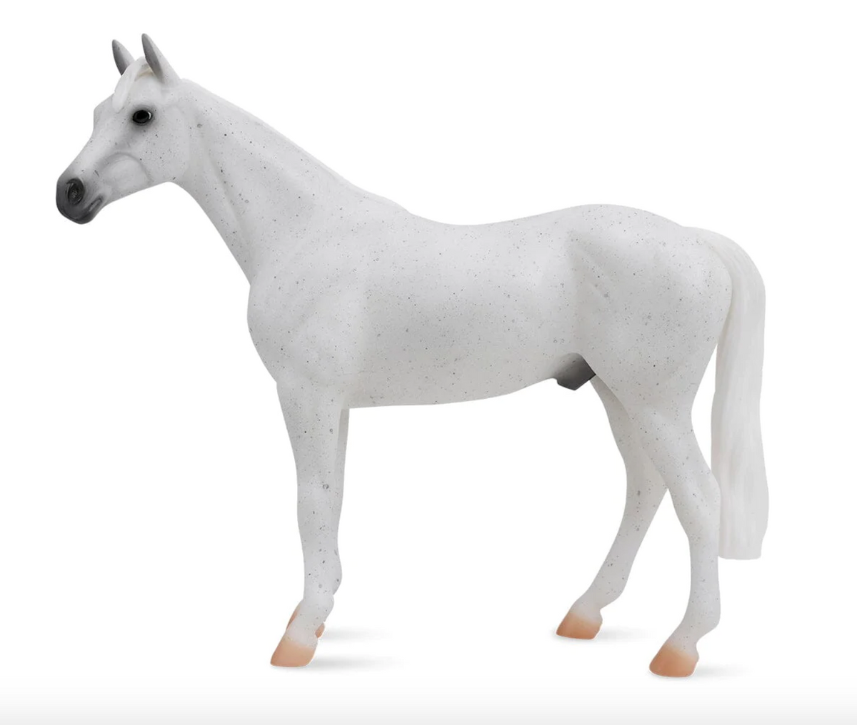 Fleabitten Grey Thoroughbred
