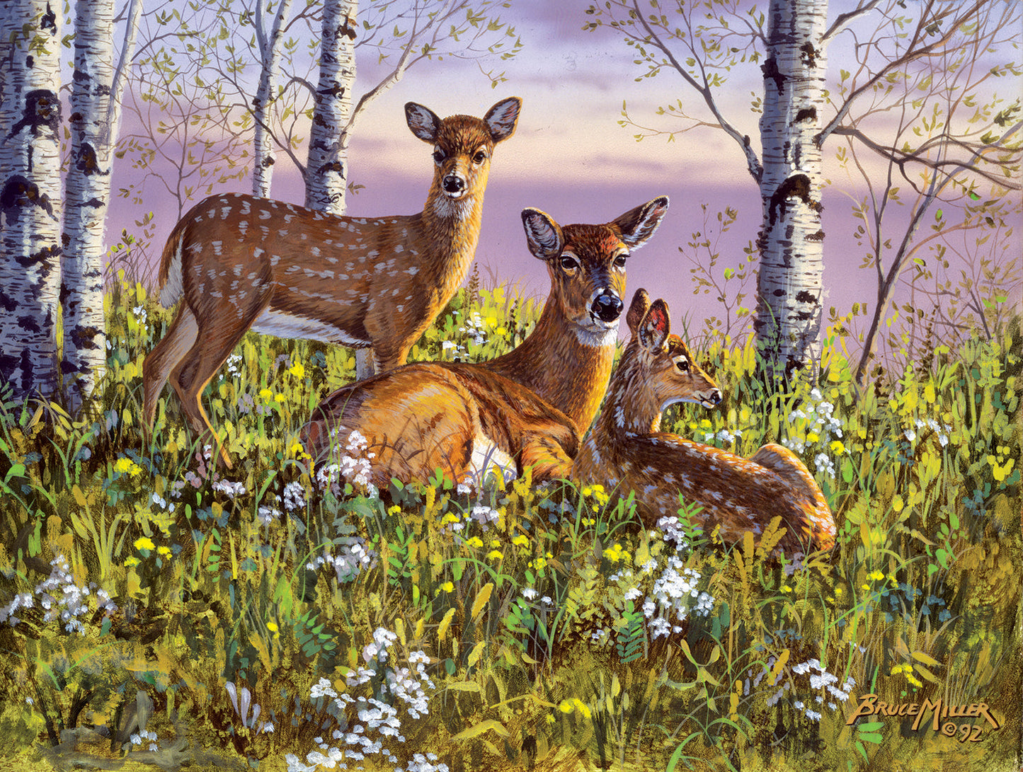 Spring Twins 500 Piece Puzzle