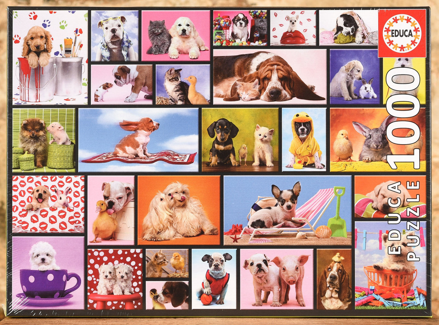 Shared Moments 1000 Piece Puzzle