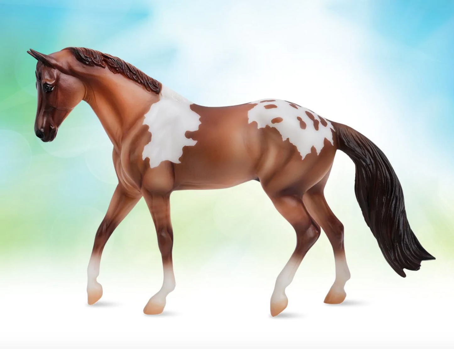  Red Dun Pintaloosa