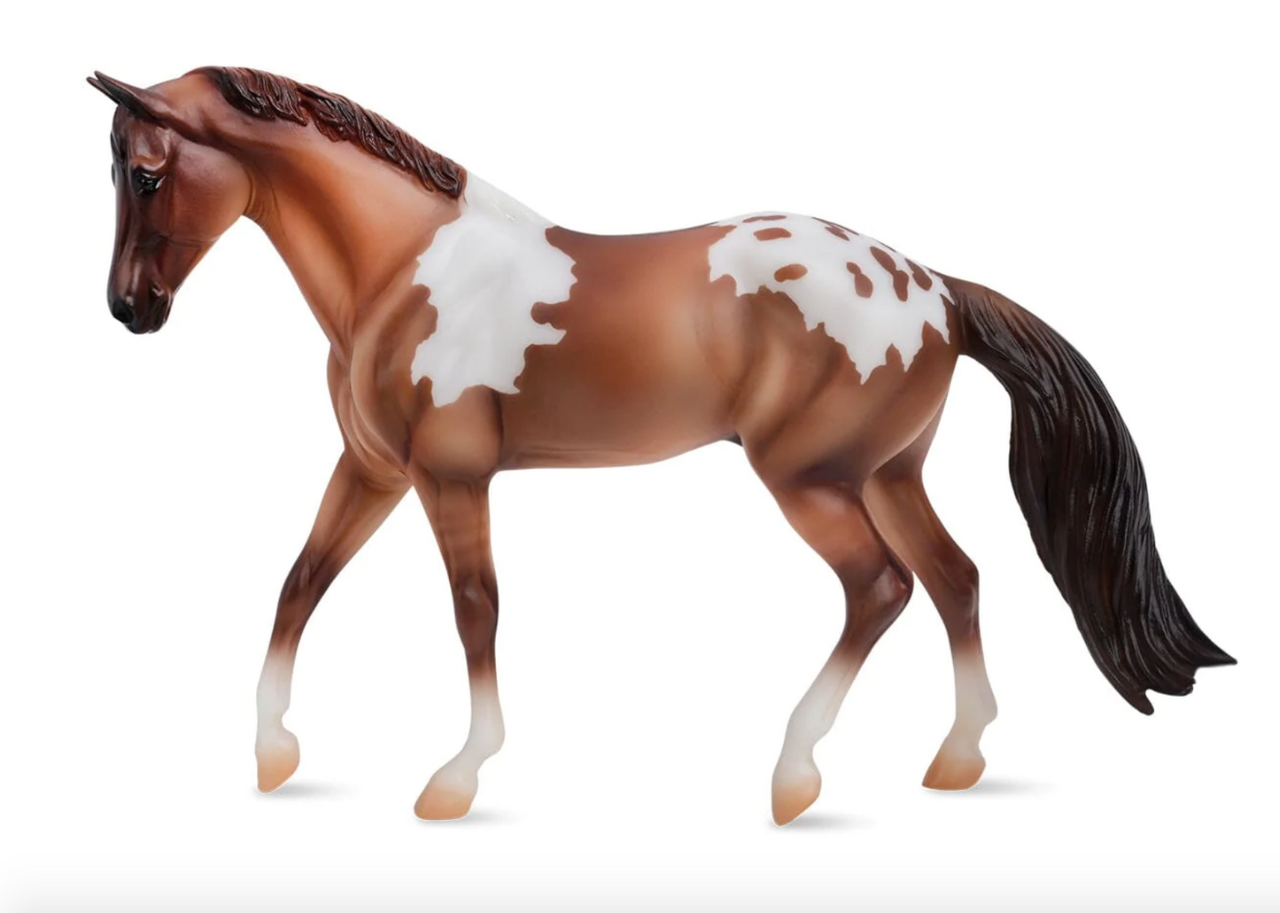  Red Dun Pintaloosa