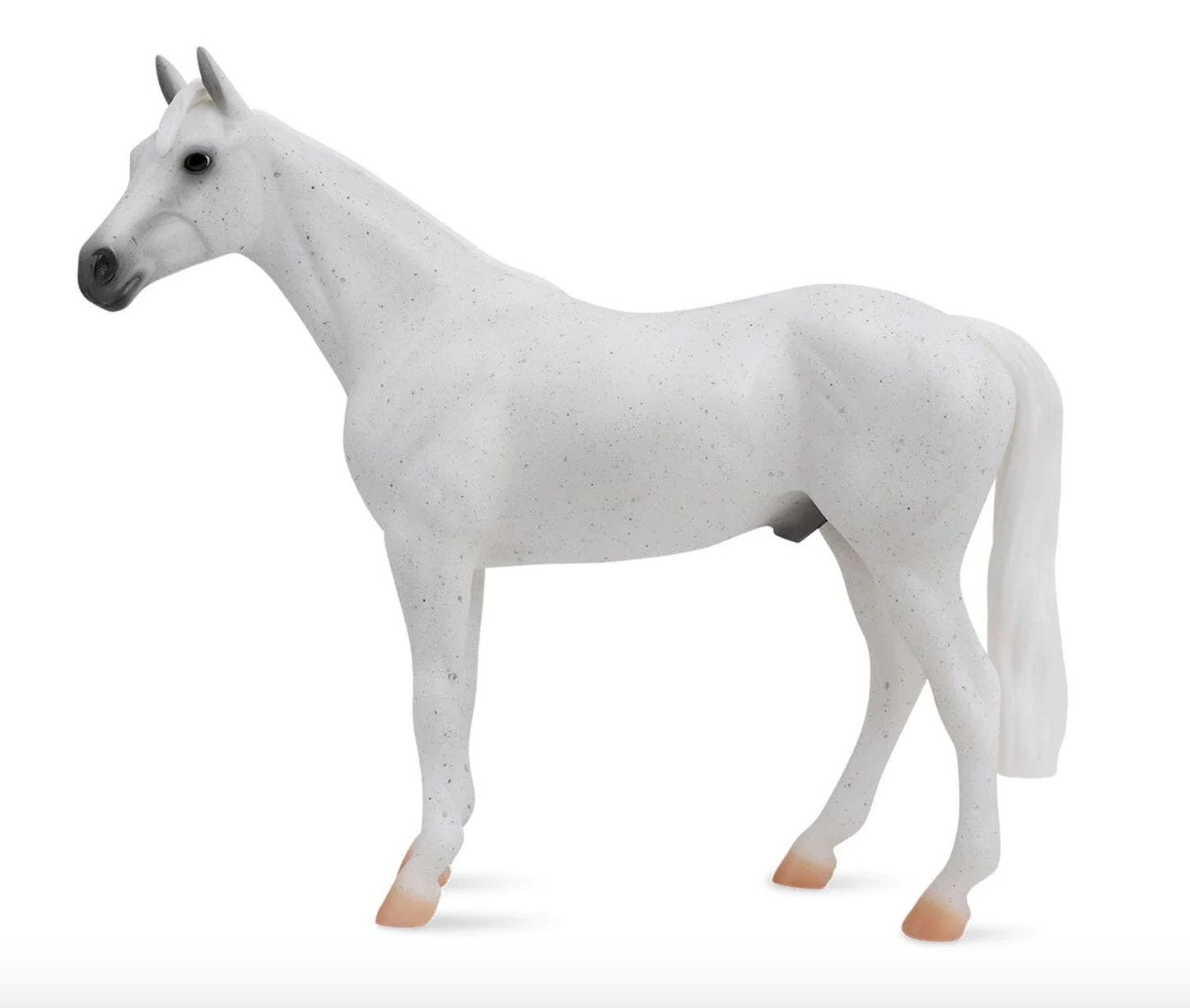  Fleabitten Grey Thoroughbred