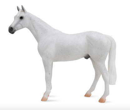  Fleabitten Grey Thoroughbred