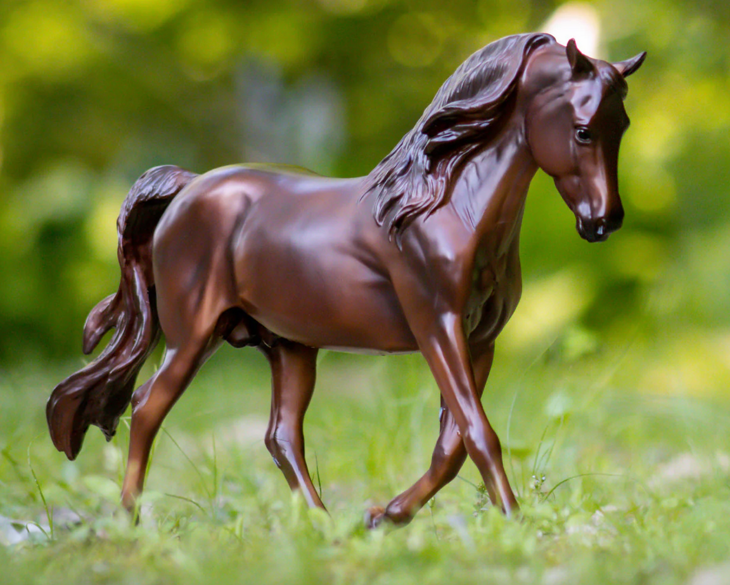  MorganQuest Native Sun (retired)