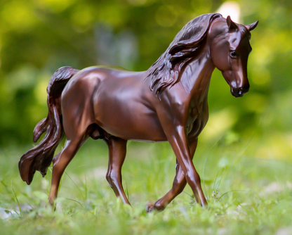  MorganQuest Native Sun (retired)