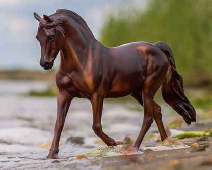  MorganQuest Native Sun (retired)