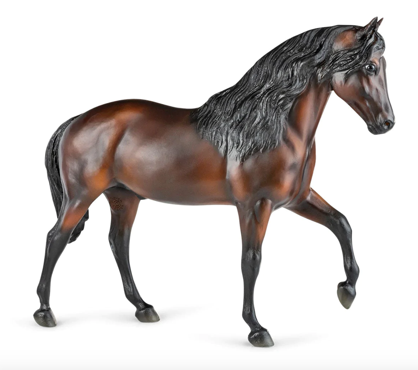  Vivaldi De Besilu - Champion Paso Fino (retired)