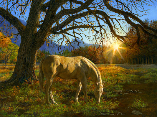  Pastoral Sunset 1000 Piece Puzzle