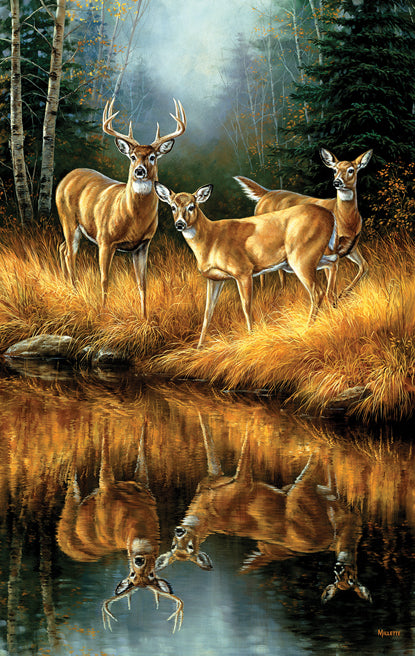  Whitetail Reflections 550 Piece Puzzle