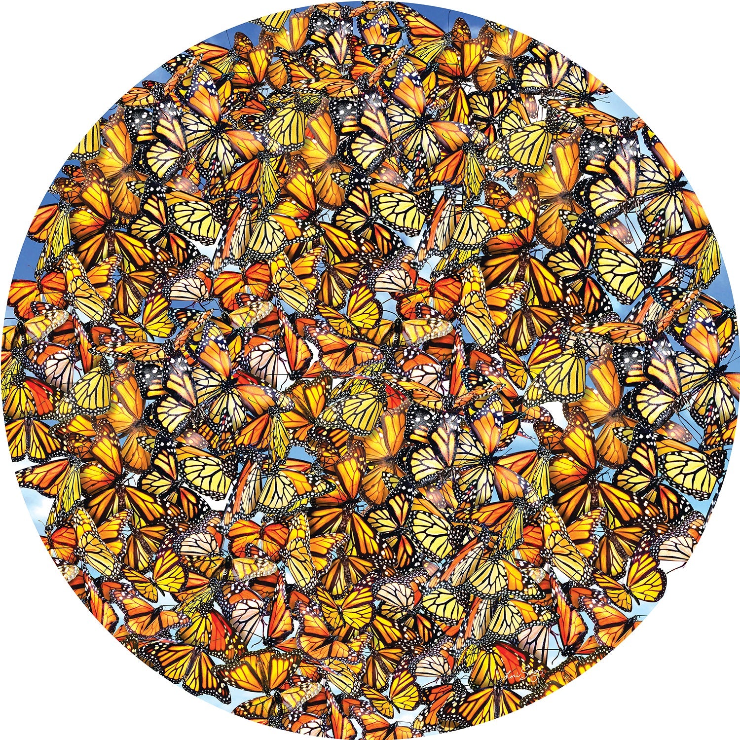  Monarch Frenzy 1000 Piece Puzzle