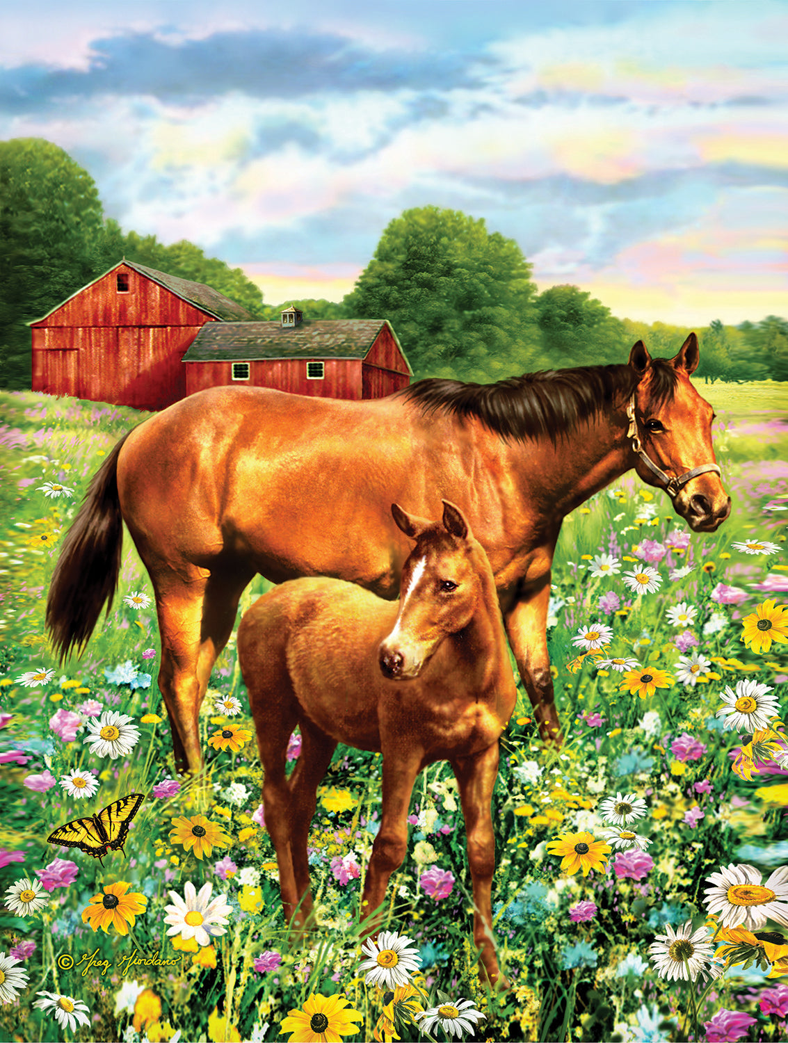  Mare And Foal 500 Piece Puzzle