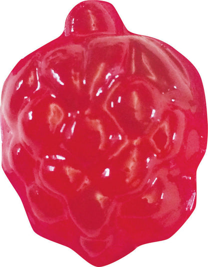  Gummy Candy Lab - STEM Experiment Kit