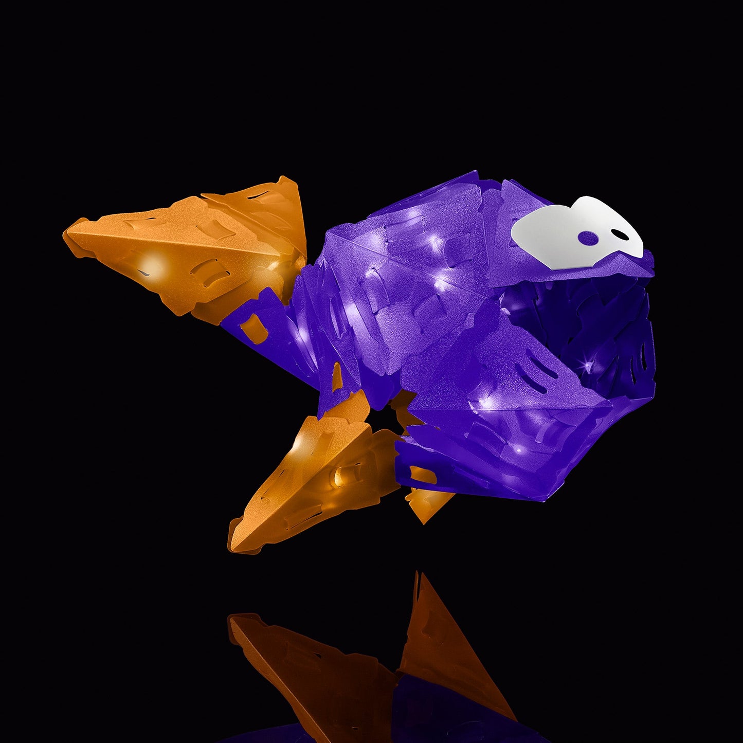  Creatto - Flashy Fish & Silly Swimmers