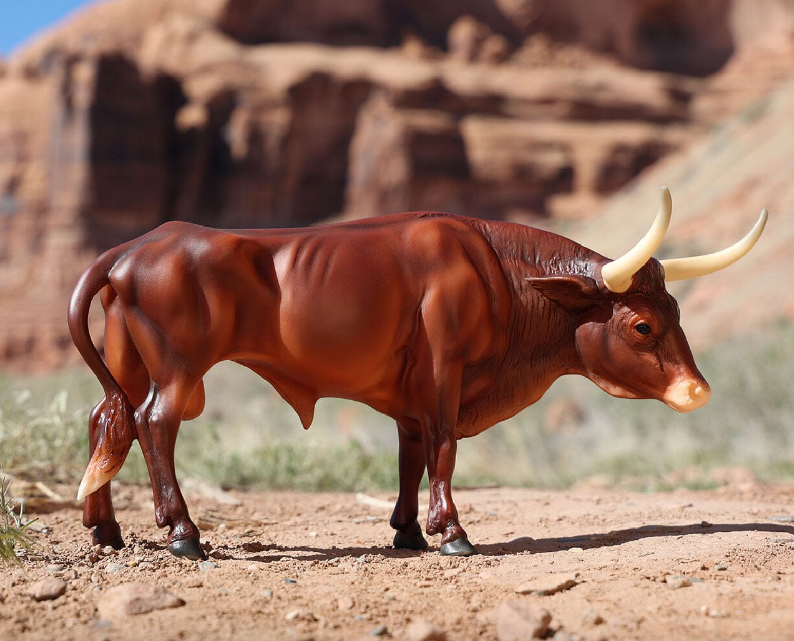  Bull Texas Longhorn