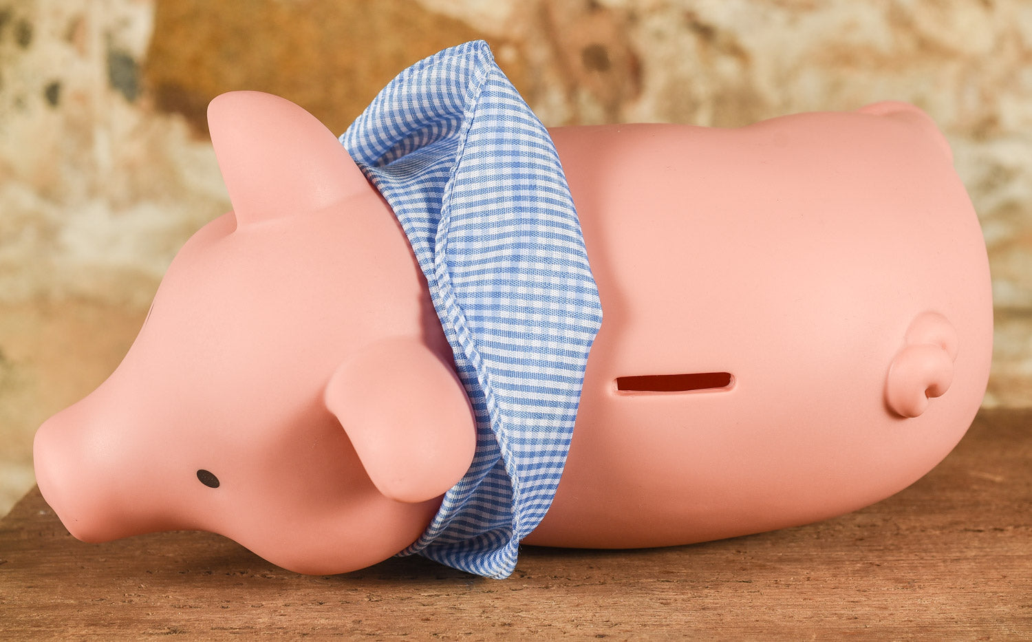  Penny The Pig - Rubber Piggy Bank