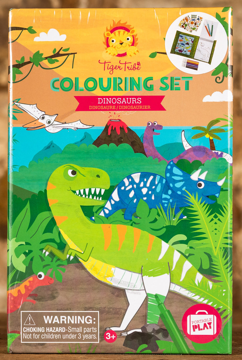  Dinosaurs Colouring Set