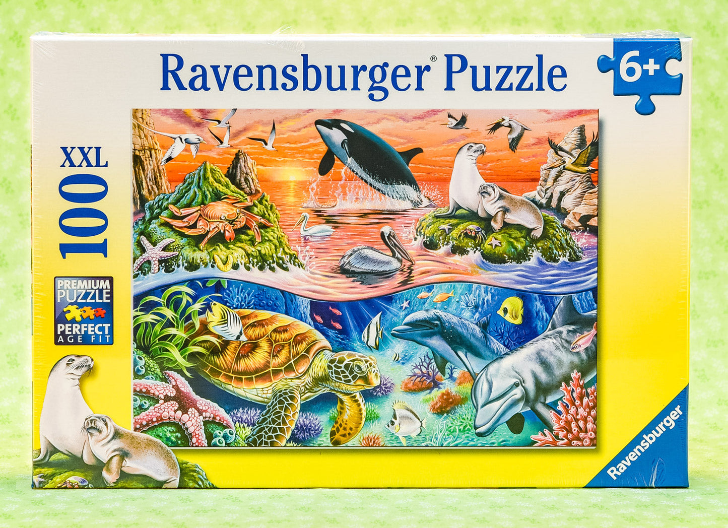  Beautiful Ocean 100 Piece Puzzle