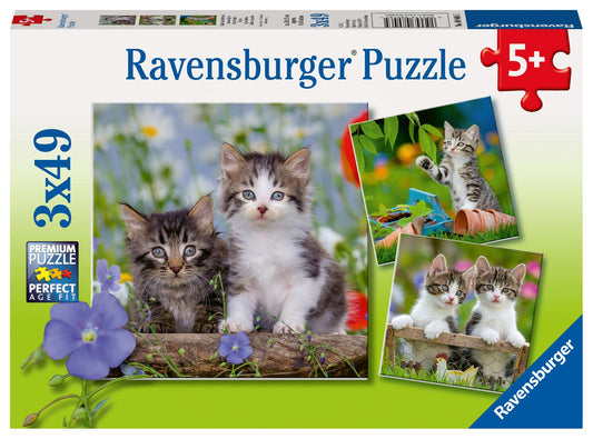  Cuddly Kittens 3 X 49 Piece Puzzle