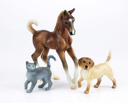  Classics - Pet Groomer