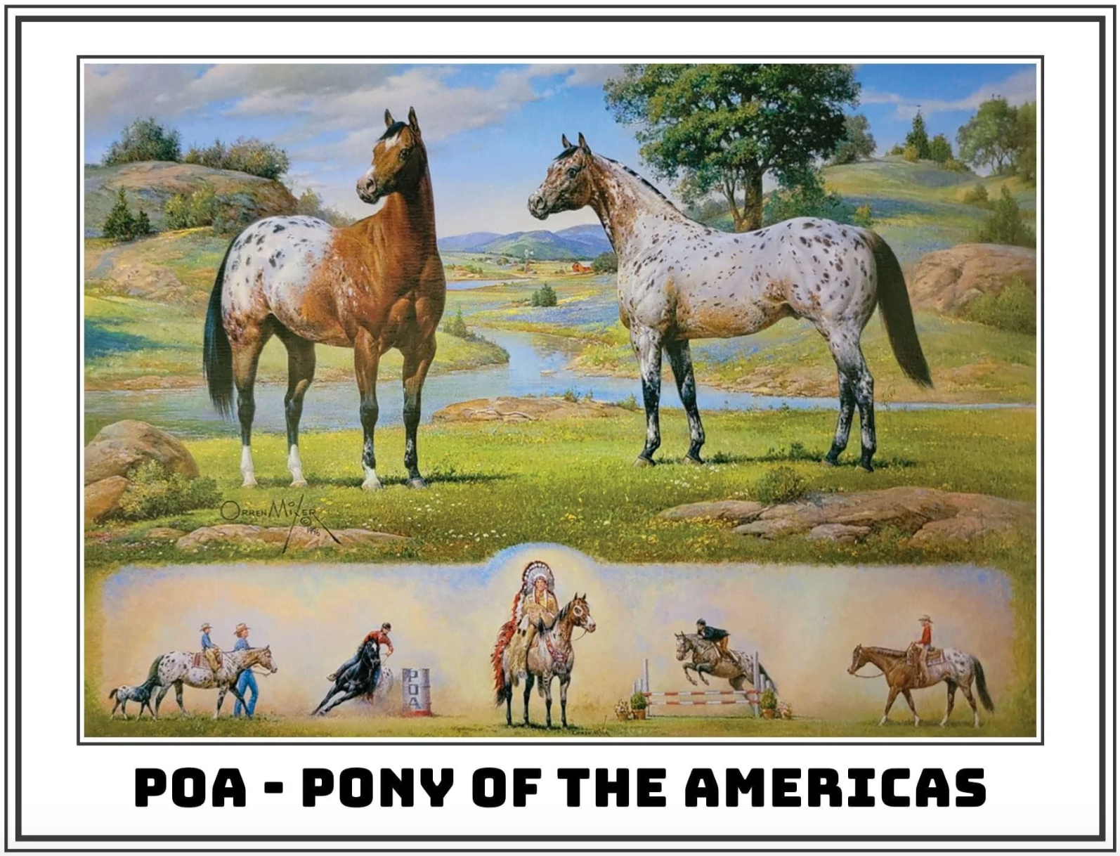  The Orren Mixer Ideal Series - Pony Of The Americas