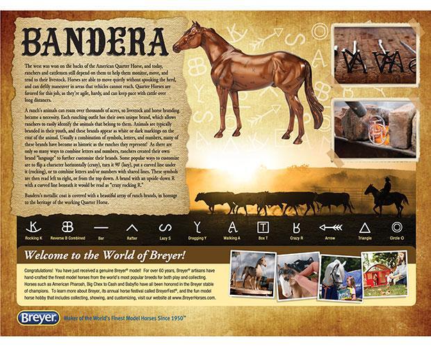  Bandera "Ranch" Horse (retired)