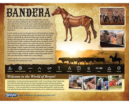  Bandera "Ranch" Horse (retired)