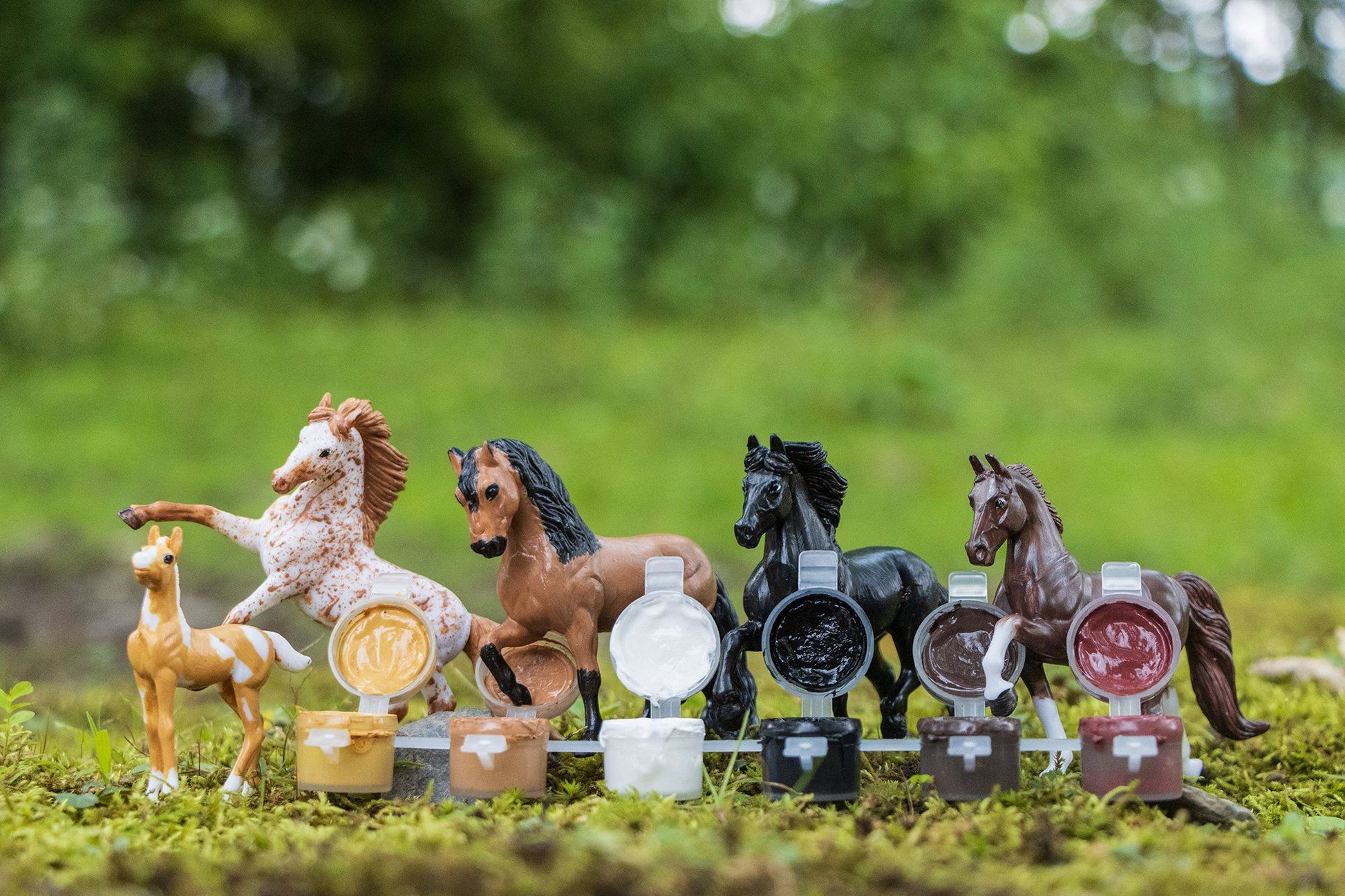  Stablemates - Colorful Breeds Paint & Play