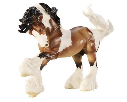  Gypsy Vanner
