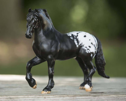  Harley Sugarbush Harlequin