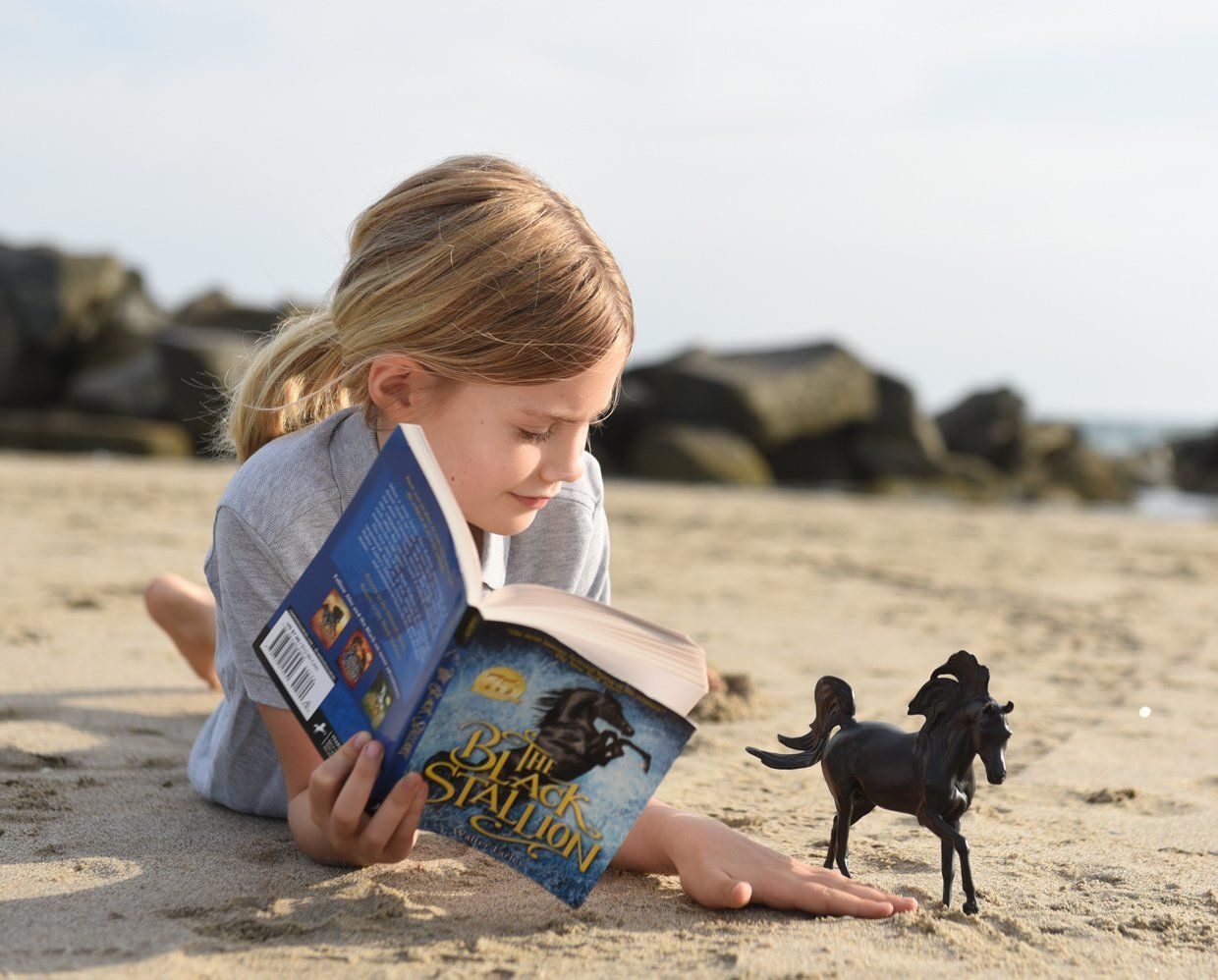  Classics - The Black Stallion Horse And Book Set