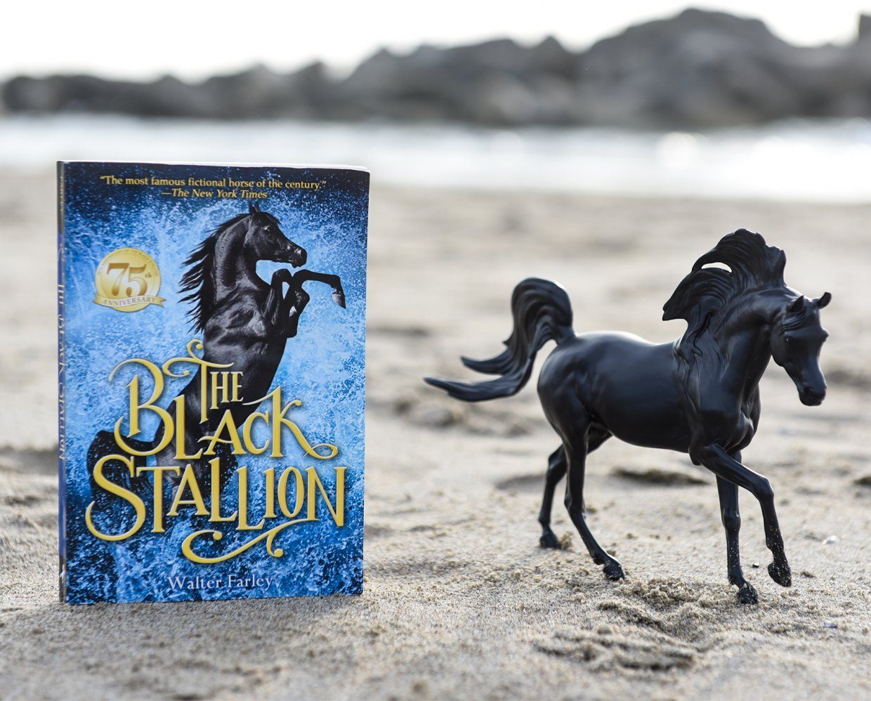  Classics - The Black Stallion Horse And Book Set