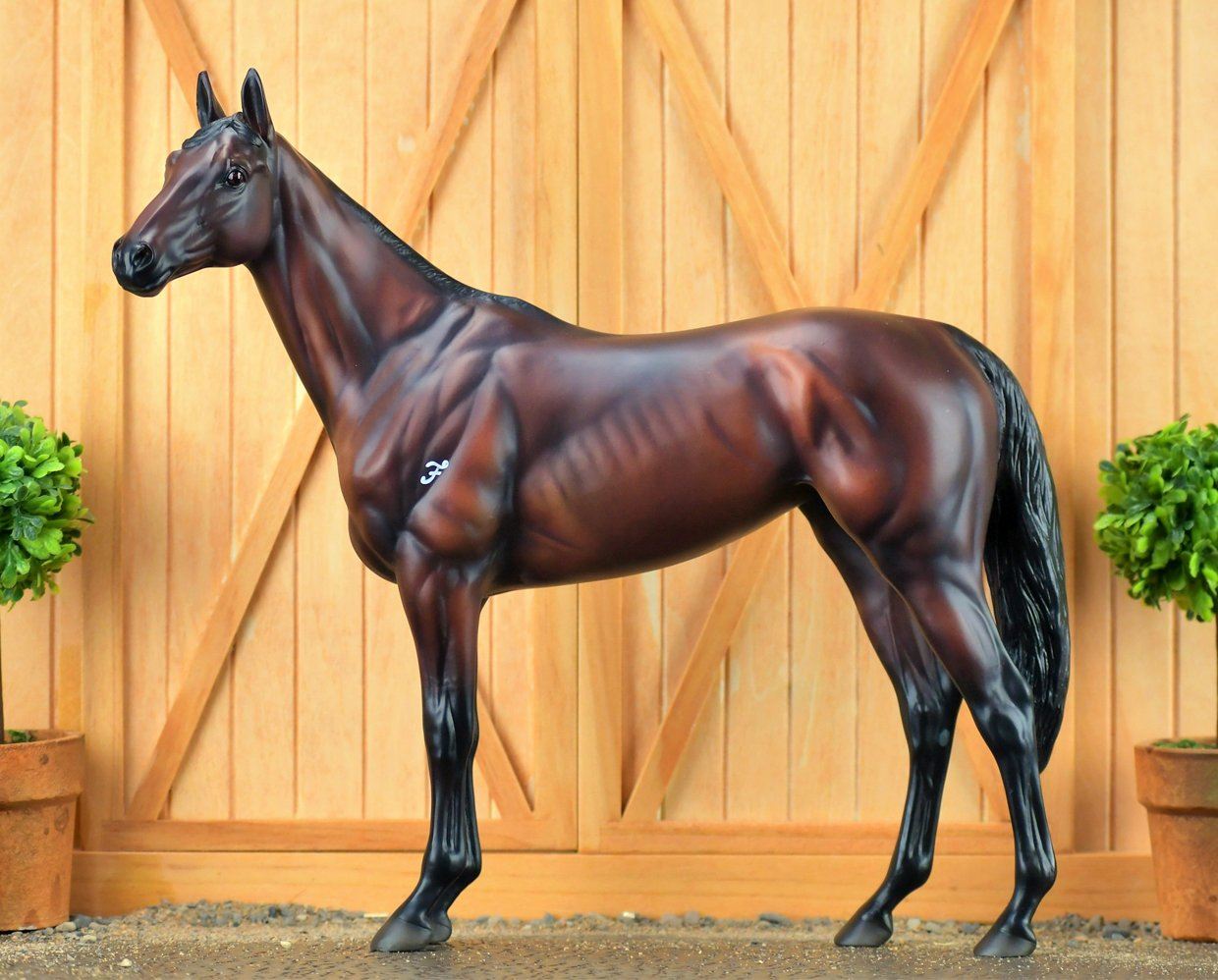  Winx