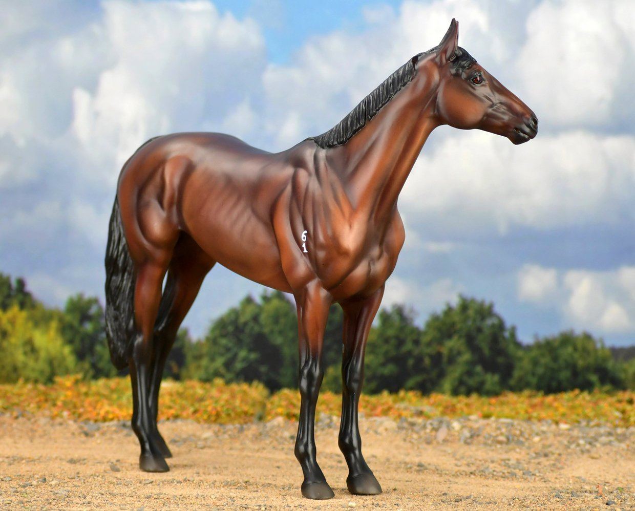  Winx